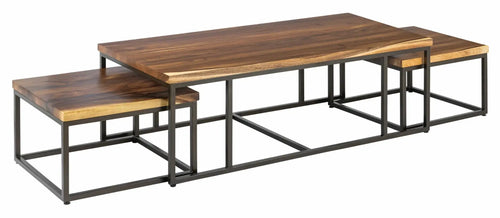 3-Piece Wood & Metal Coffee Table Set featuring a large central table and two smaller side tables.